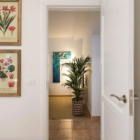 Apartamento City, Sun And Living Las Palmas de Gran Canárias